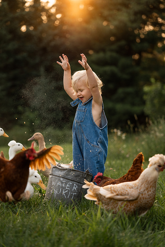 Sample environmental portrait kid feeding chickens Sigma 28-105mm lens on Sony E