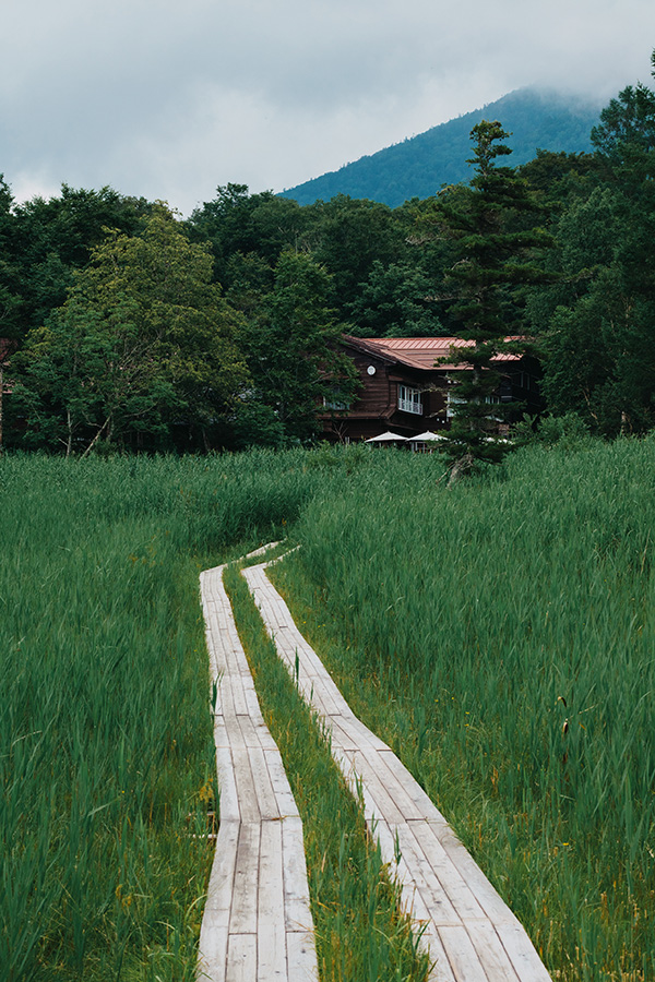Sample 03 boardwalk landscape at 50mm © Naoki Miyashita. Settings: 1/750 sec. f/8. ISO 200