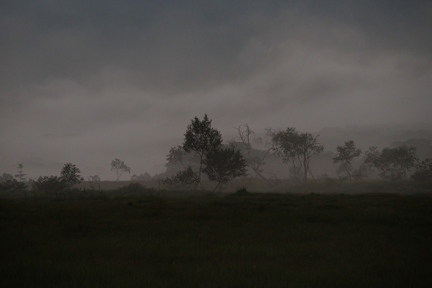Sample 06 misty landscape at 120mm © Naoki Miyashita. Settings: 1/60 sec. f/5.6. ISO 1000