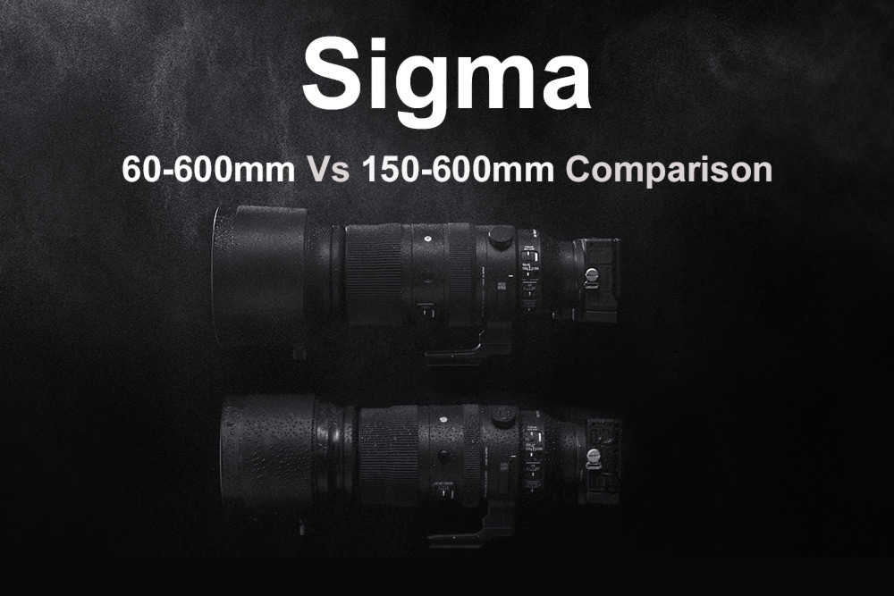 Sigma 60-600mm Vs 150-600mm Comparison
