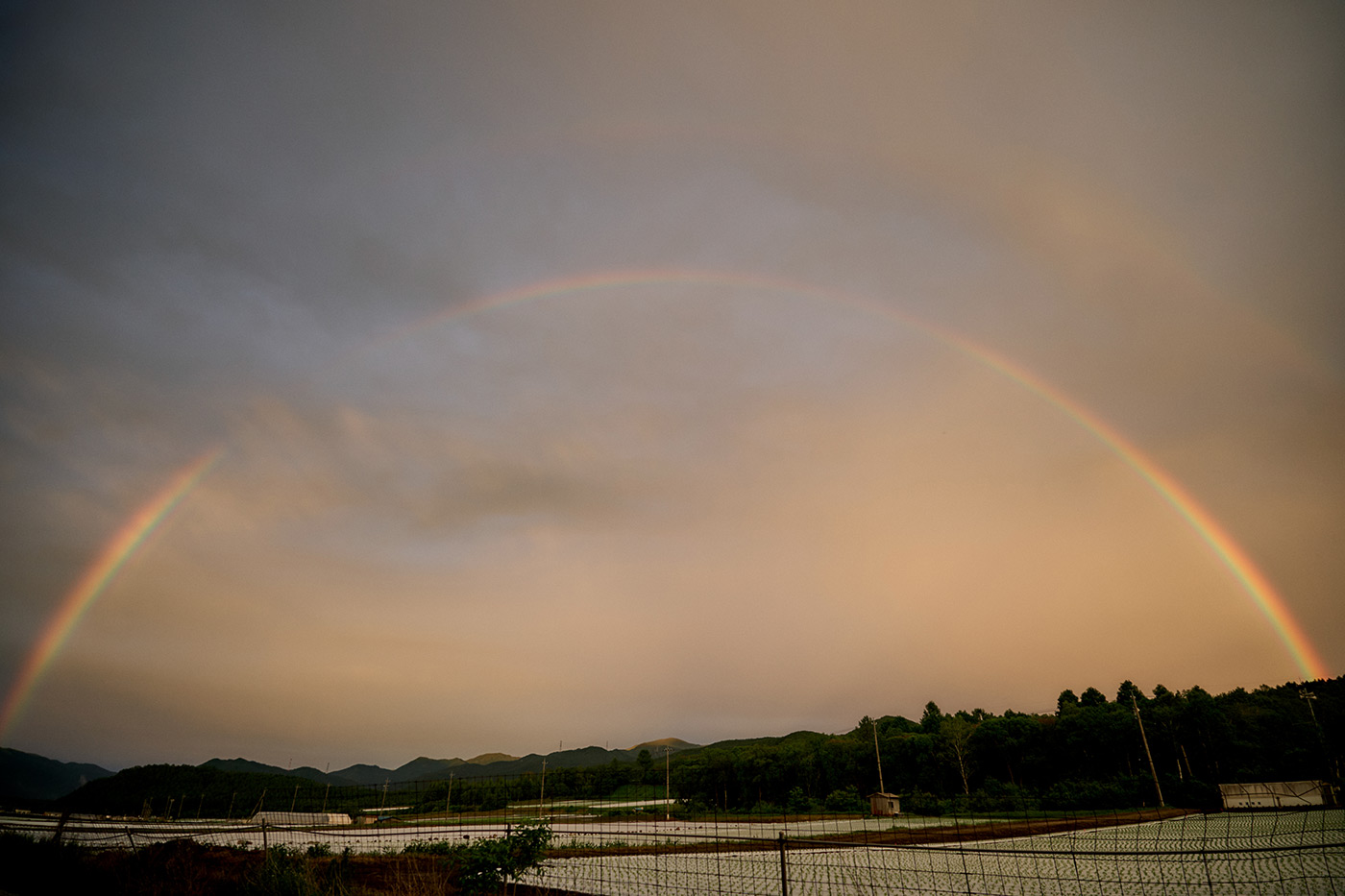 Sample 02 Syuheiinoue. Sigma 20-200mm f/3.5-6.3 DG Contemporary Lens for Sony E with Sony A9 II. Camera settings: 1/200 sec. f/3.5. ISO 250