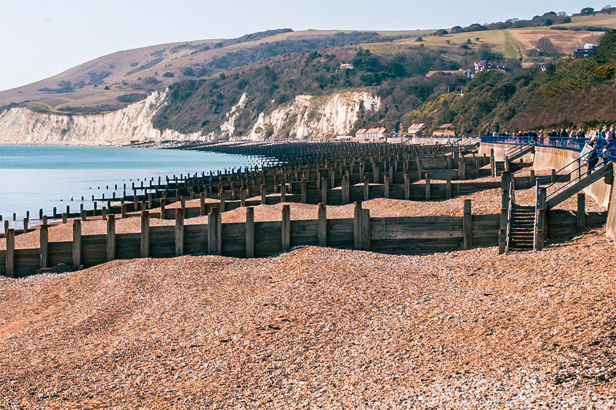 100 percent crop showing Sony 24mm G lens lens detail