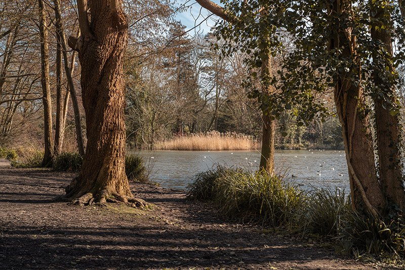 Sample 2 landscape image