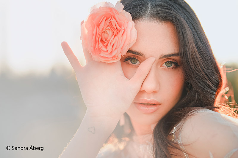 Sample five image close-up