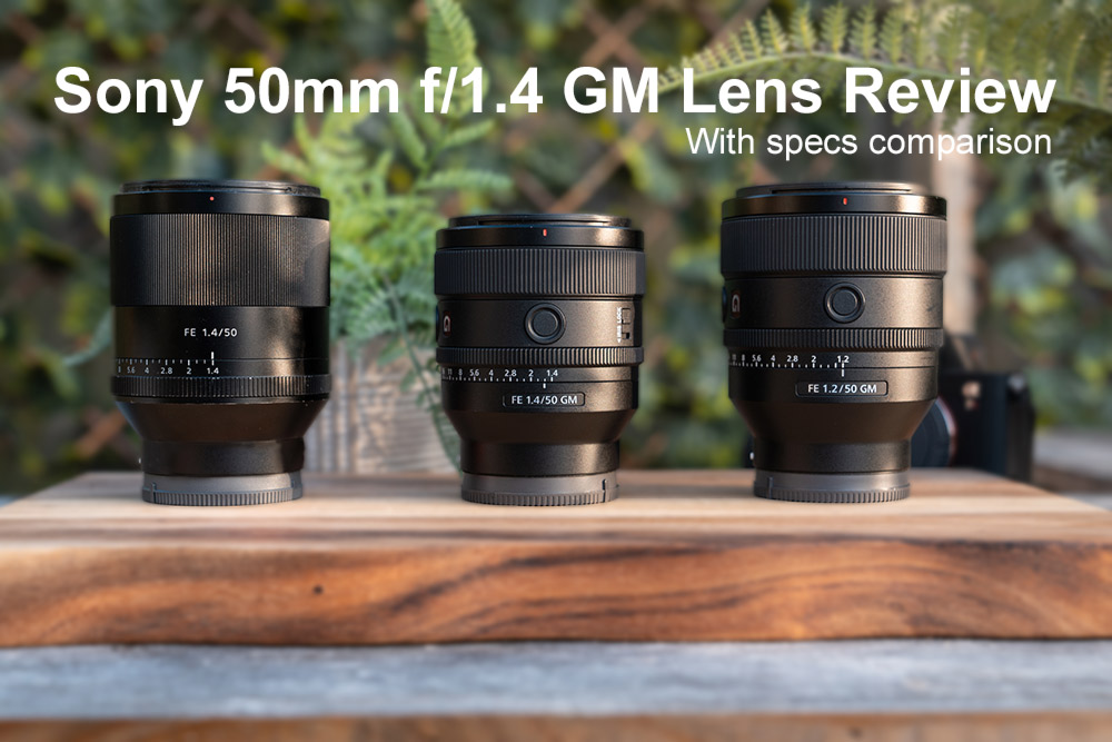 Sony 50mm f/1.4 GM Lens Review
