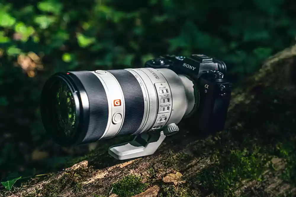How the mark 2 70-200mm lens looks in the wild