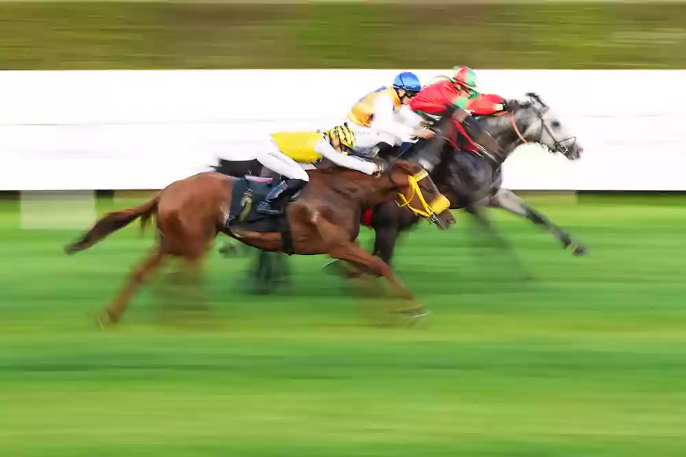 Sample of horse racing with the 70-200mm GM mark 2 lens