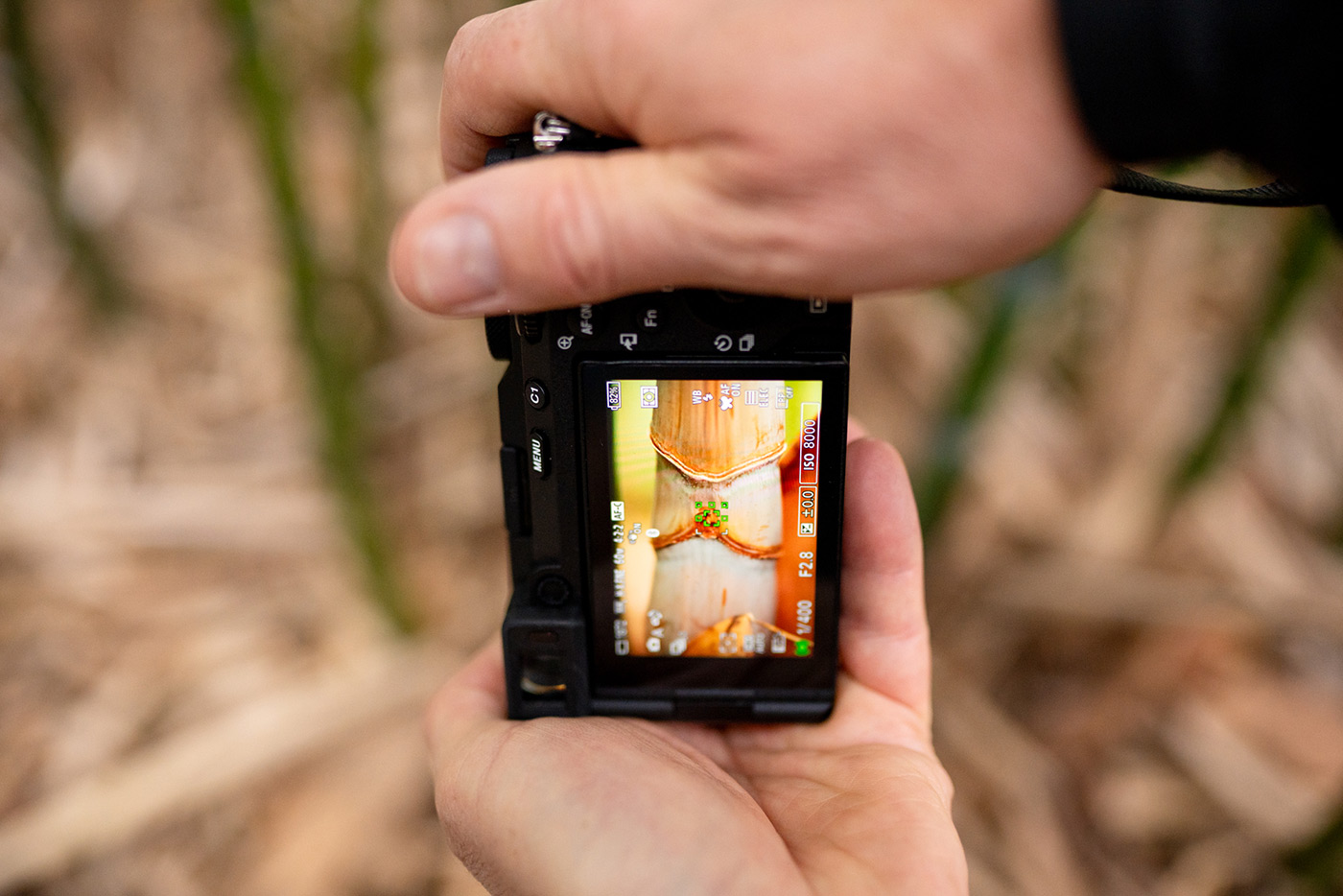 Usng the rear LCD screen handheld with Sony A7CR