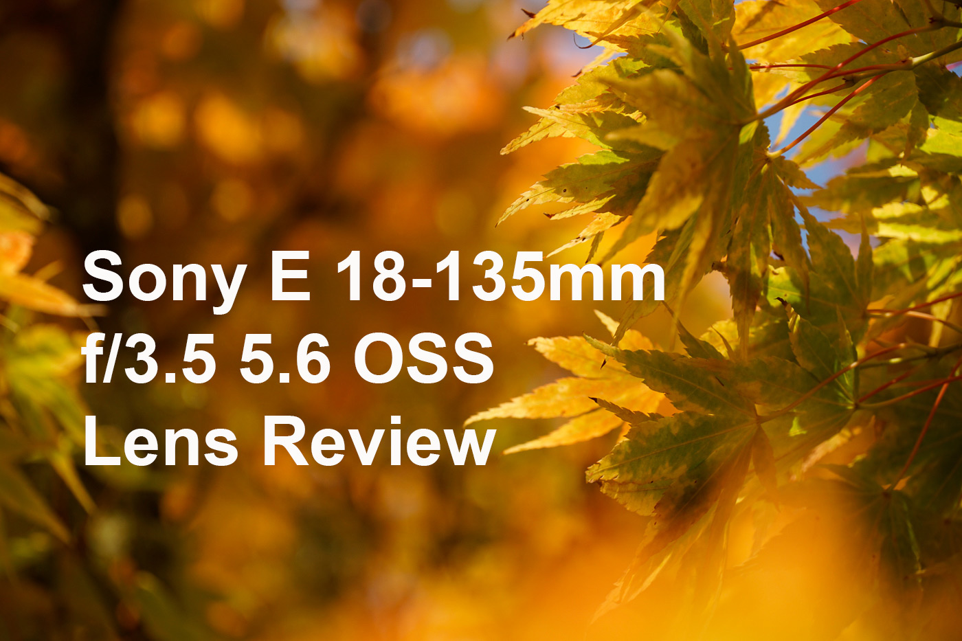 Sony E 18 135mm f 3.5 5.6 OSS Lens Review