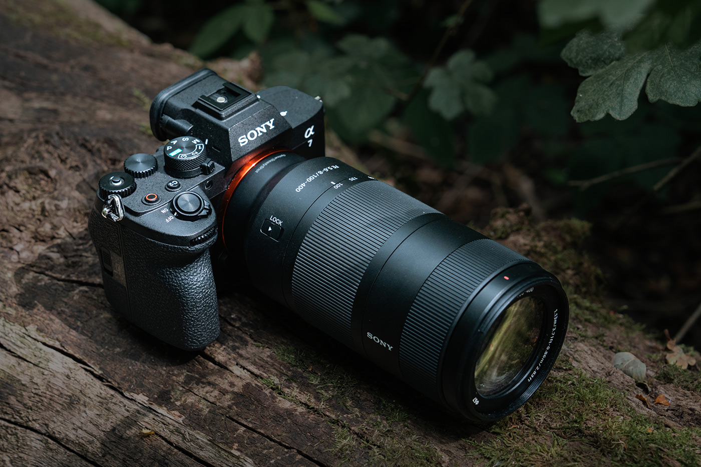 Camera on log