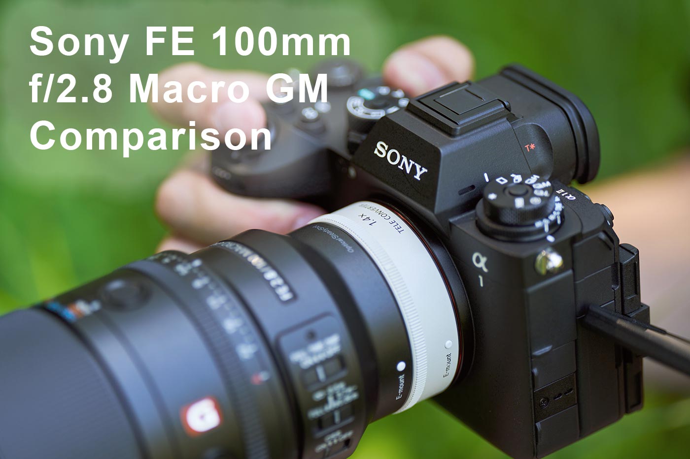 Sony FE 100mm f/2.8 Macro GM Comparison