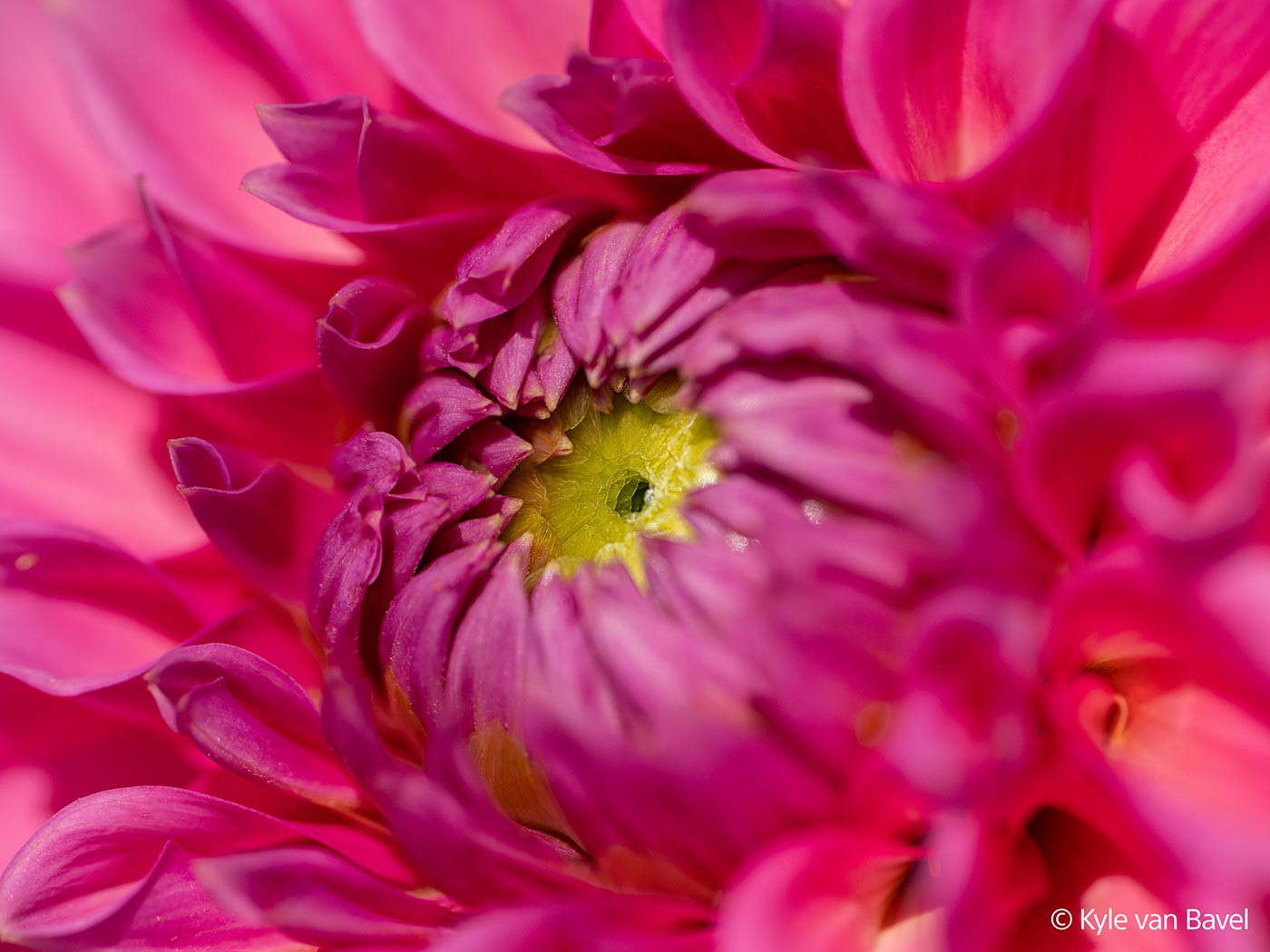Sample 2 © Kyle van Bavel. Taken with the Sony A7R V. Camera settings: 1/3200 sec. f/5.6. ISO 400