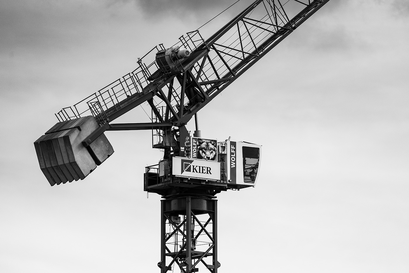 FE 400mm F4.5 GM OSS Sample 02 Crane. Settings: 1/8000 sec. f/4.5. ISO 1000