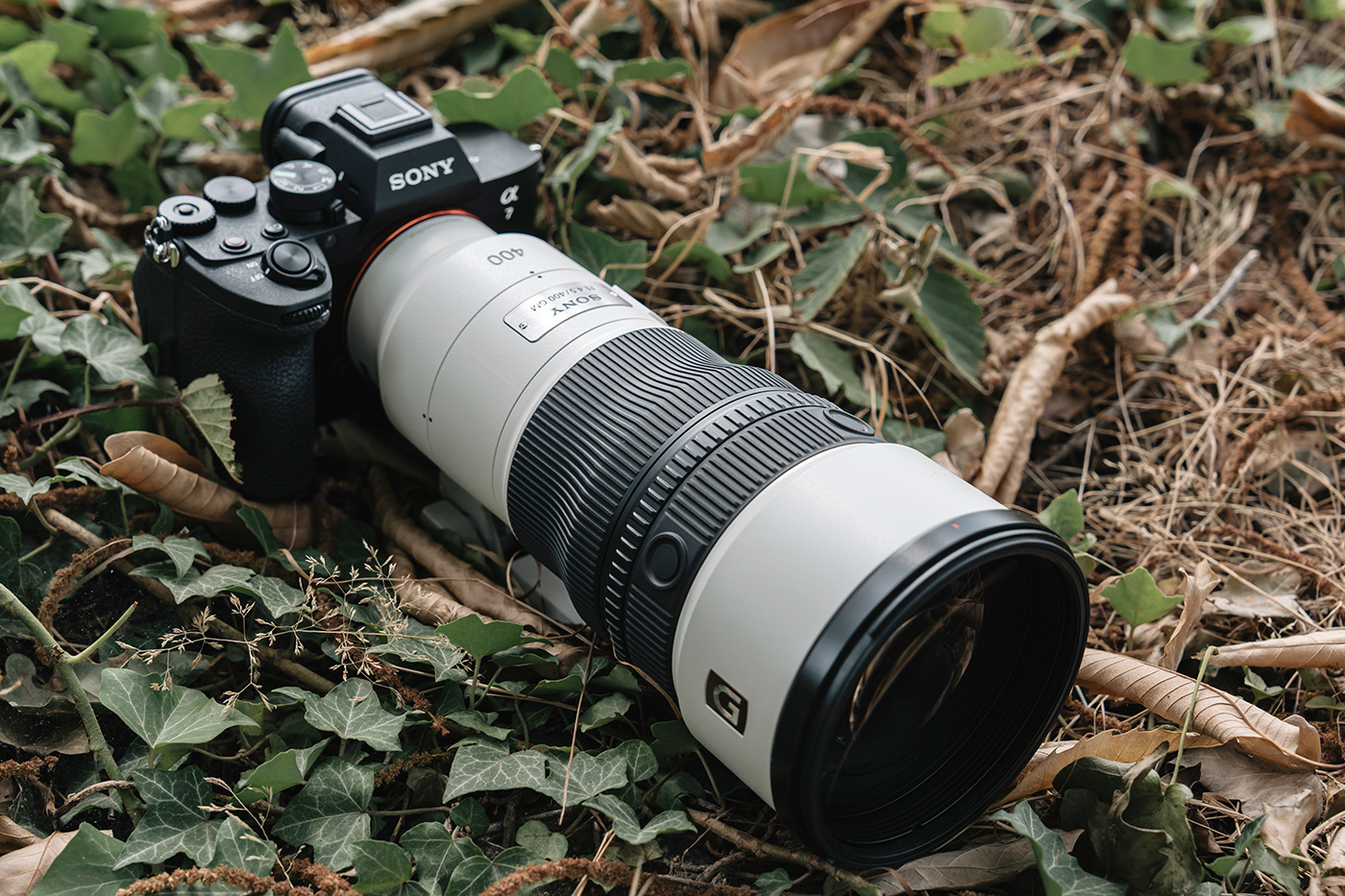 The 400mm in the field