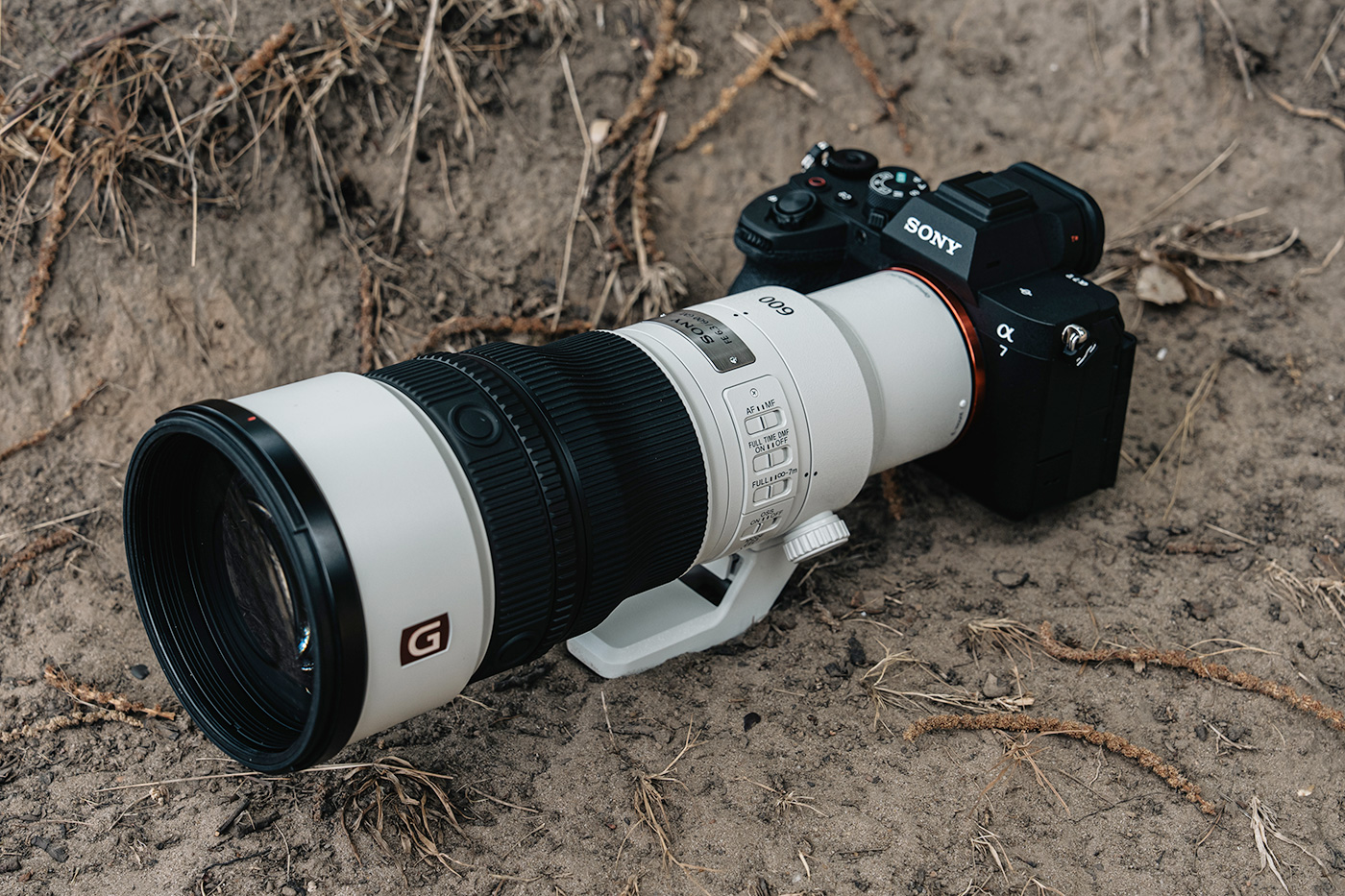 600mm in the field