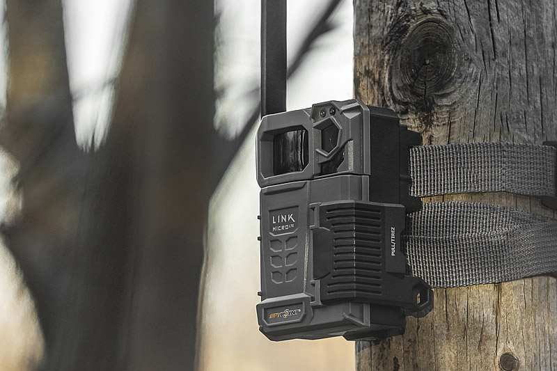 Tree mounted wildlife camera