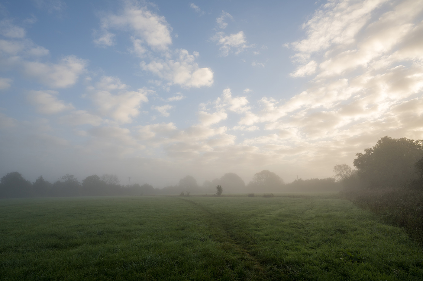 Sample 09 Misty field at 19mm. Camera settings: 1/125 sec. f/8. ISO 100.