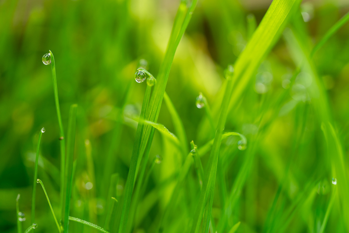 Water droplets