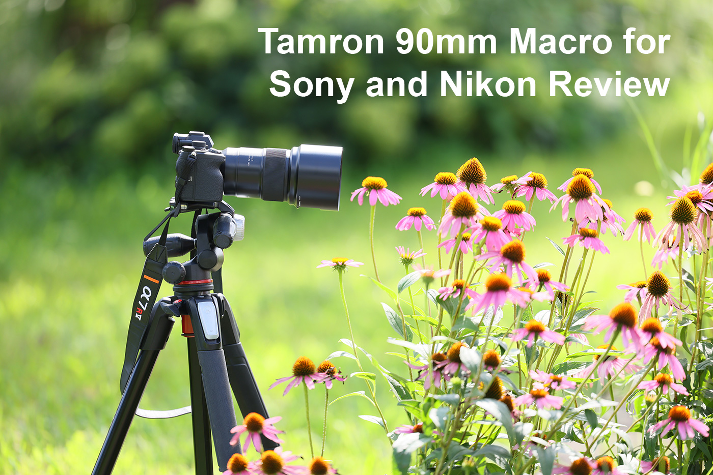 Tamron 90mm Macro for Sony and Nikon Review