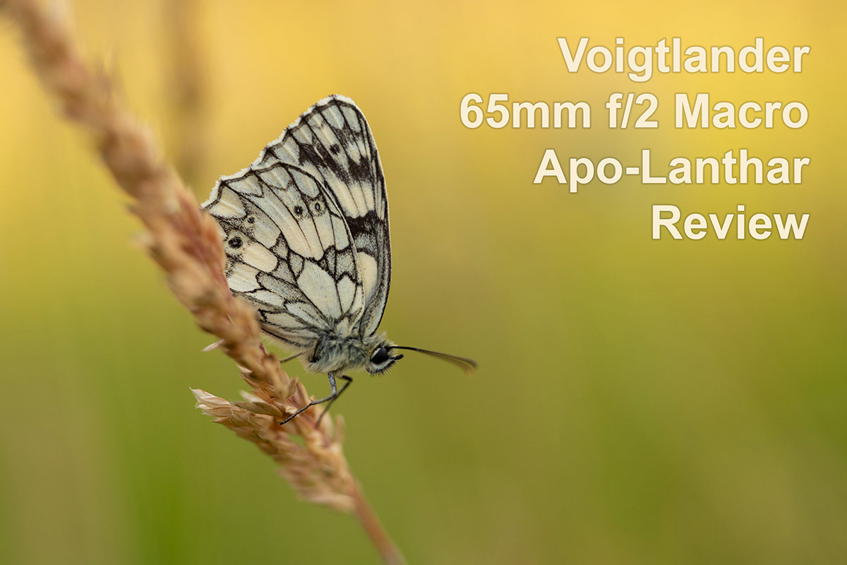 Voigtlander 65mm f/2 Macro Apo-Lanthar Review