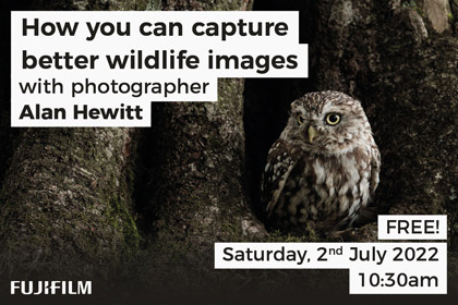 How you can capture better wildlife images with Alan Hewitt