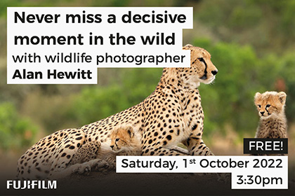 Never miss a decisive moment in the wild