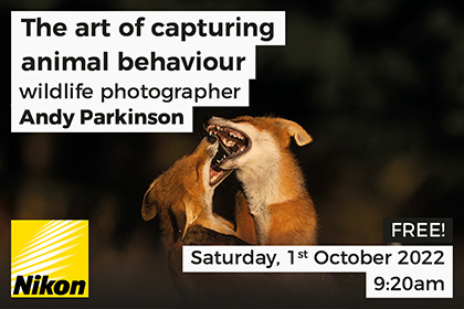 The art of capturing animal behaviour