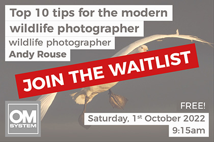 Top 10 tips for the modern wildlife photographer