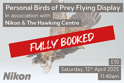 Personal Birds of Prey Flying Display at Park Cameras Wildlife Day