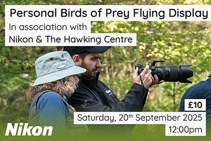 Personal Birds of Prey Flying Display