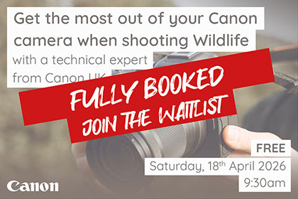 Get the most out of your Canon camera when shooting Wildlife