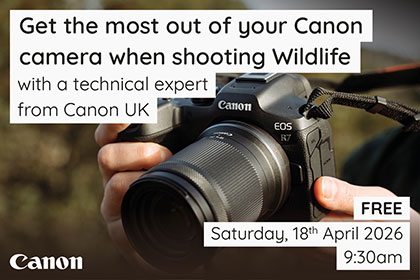 Get the most out of your Canon camera when shooting Wildlife
