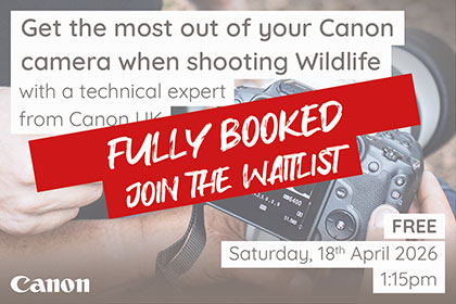 Get the most out of your Canon camera when shooting Wildlife