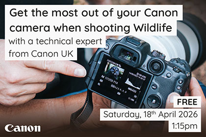 Get the most out of your Canon camera when shooting Wildlife
