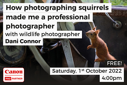 How photographing squirrels made me a professional photographer