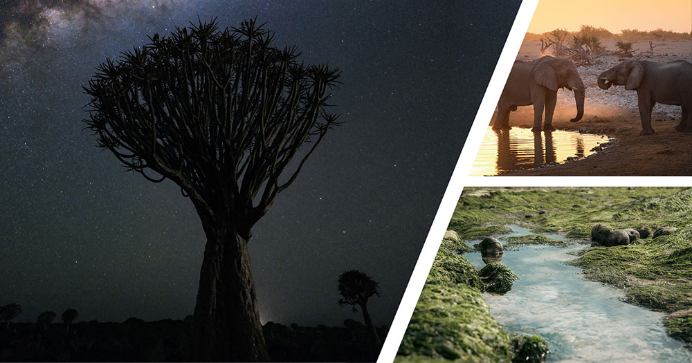 Hands-on session with the FUJIFILM GFX 100 II: London