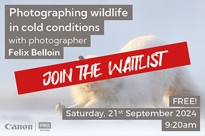 Photographing wildlife in cold conditions; with Felix Belloin