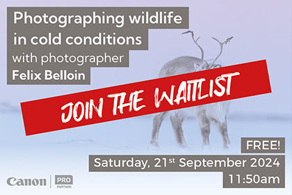 Photographing wildlife in cold conditions; with Felix Belloin