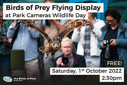Birds of Prey Flying Display at Park Cameras Wildlife Day