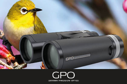 GPO