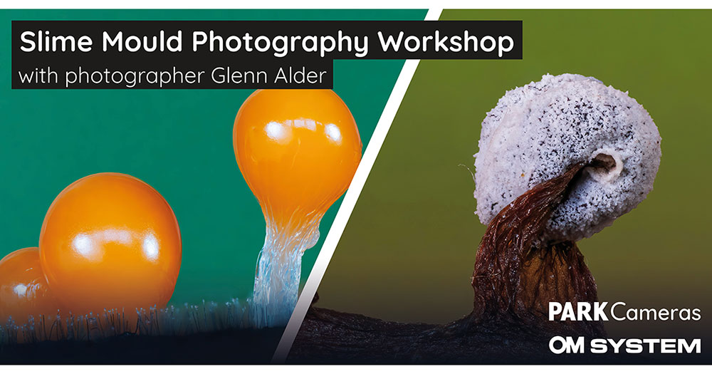 Slime Mould Photography Workshop