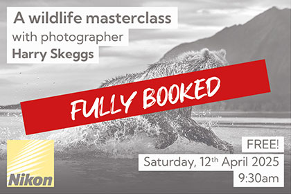 A wildlife masterclass; with Harry Skeggs