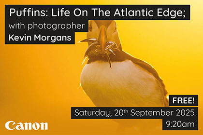 Puffins: Life On The Atlantic Edge; with Kevin Morgans