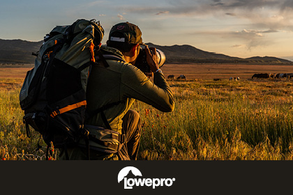 Lowepro