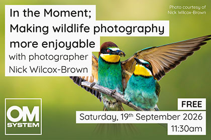 In the Moment; Making wildlife photography more enjoyable