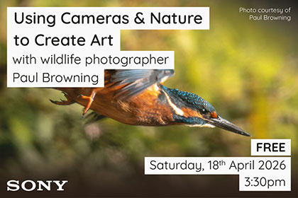 Using Cameras & Nature to Create Art with Paul Browning