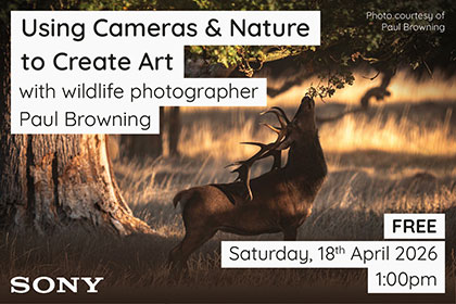 Using Cameras & Nature to Create Art with Paul Browning