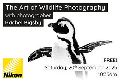 The Art of Wildlife Photography; with Rachel Bigsby