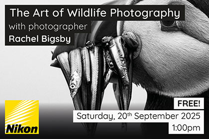 The Art of Wildlife Photography; with Rachel Bigsby