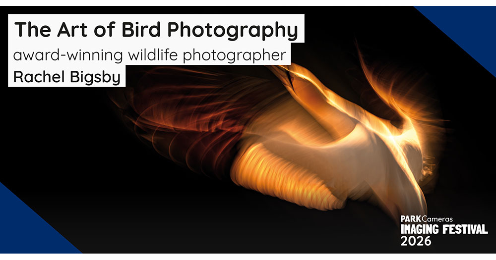 The Art of Bird Photography; with Rachel Bigsby